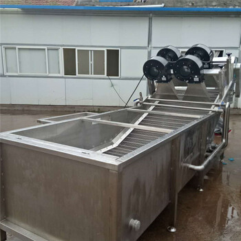 氣泡清洗機-氣泡清洗機廠家-果蔬氣泡清洗機