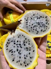 泰国麒麟果水果天津港进口清关海关标准