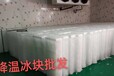 全惠州市制冰厂供应降温冰块高温厂房工业冰条奶茶店可食用冰块