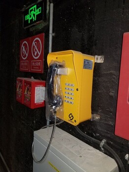 管廊防水電話機，IP65防水等級,支持語音網(wǎng)關(guān)直接供電