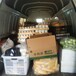 食材配送-幼儿园食材配送服务