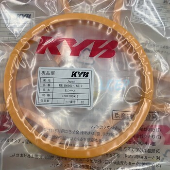 原裝進口日本KYB油封B6961IDI液壓油缸密封圈