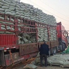 浙江省陶粒全国发货送货到家质量可靠