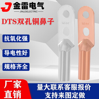 DTS雙孔銅鼻子線鼻子銅接線端子紫銅線耳酸洗銅接線鼻