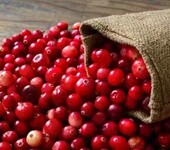 美国冷冻蔓越莓进口清关时需要注意的问题
