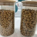 狗狗所的六大營(yíng)養素