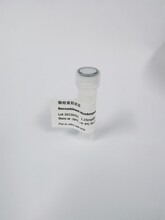 人医诊断试剂JLQ0006A猴痘重组抗原-2