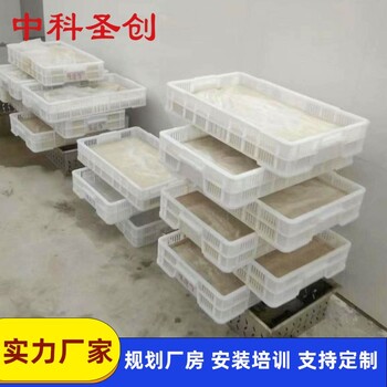 濮陽哪里有賣全自動豆腐機的，大型生產(chǎn)豆腐的機器包教技術(shù)
