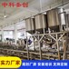 濮阳哪里有卖全自动豆腐机的，大型生产豆腐的机器包教技术