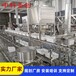 仙桃大型豆腐生产线设备，自动冲浆板式豆腐机可定制