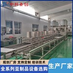 大型豆腐生产线设备聊城全自动卤水石膏豆腐机日加工5吨