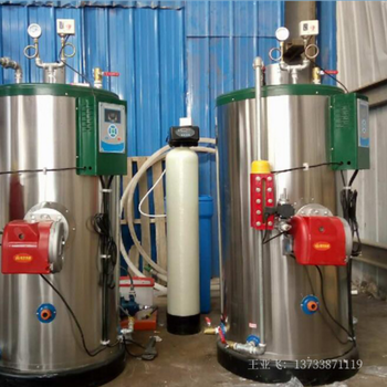 酿酒加工燃气蒸汽发生器卧式节能燃烧可低氮使用