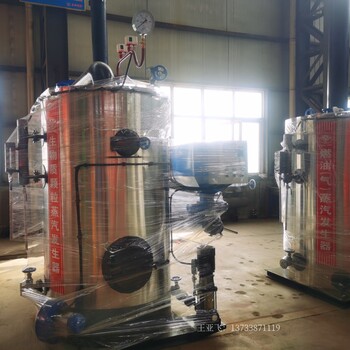 凉皮生产燃油燃气蒸汽发生器LHS立式1吨蒸汽锅炉