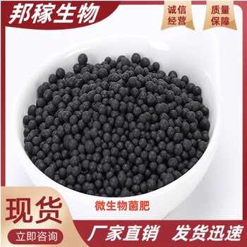 廠家供應(yīng)顆粒微生物菌劑菌肥微生物有機(jī)肥高標(biāo)準(zhǔn)生物菌肥有機(jī)肥