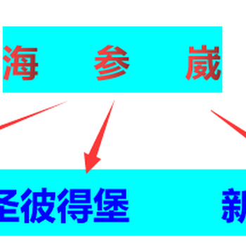 俄羅斯海鐵聯運