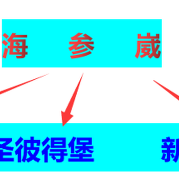 俄罗斯海铁联运