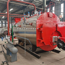 沼气发电4吨燃气蒸汽锅炉WNS卧式三回程湿背锅炉燃气锅炉