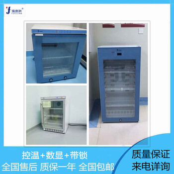 医用负20度冰箱/-20℃低温冰箱/医用冷冻柜-20℃