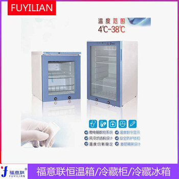 -20℃双人双锁冰箱负20度冰箱