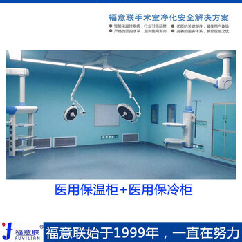 入墻醫(yī)用恒溫箱型號FYL-YS-150L