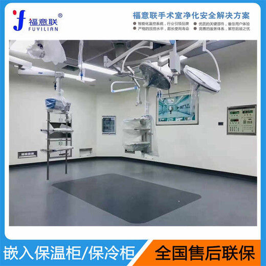 保溫柜容積430L溫度2-48℃型號FYL-YS-430L
