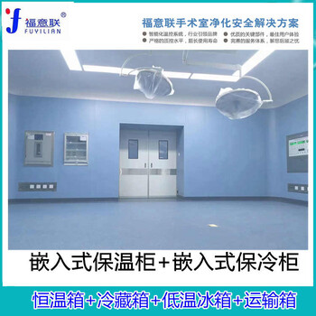 嵌入式醫(yī)用恒溫柜FYL-YS-150L