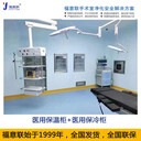 嵌入式醫(yī)用恒溫箱FYL-YS-151L