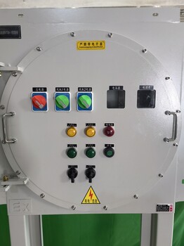 雅益防爆厂家定制不锈钢IIB/IIC配电控制箱仪表箱接线箱