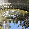 濱州漂浮噴泉廠家_濱州噴泉成套設備_濱州噴泉