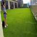 仿真人造草坪地毯白城塑料人工绿草皮建筑遮盖围挡覆盖绿草皮
