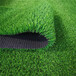 人造仿真草坪蒙自塑料绿色人工草皮围墙装饰广告草皮