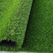 仿真人造草坪地毯拉孜塑料人工草皮彩钢板围挡景观草坪