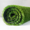 人造仿真假草坪豐縣塑料綠色人工草皮鐵皮裝飾圍擋草坪地毯