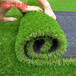 周至那里有卖人造草坪地毯人工绿草皮塑料仿真草坪