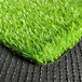 莲池区哪里能买到绿化人造草坪人工绿草皮塑料仿真草坪