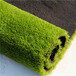 20mm人工仿真假草坪丽水露台人造草坪围墙塑料人工草皮