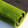 人造仿真假草坪常熟塑料人工绿草皮工地施工围挡板绿草坪