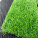 人造仿真假草坪庆元塑料绿色人工草皮建筑围墙围挡仿草坪