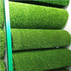 仿真人造草坪地毯鄄城塑料人工綠草皮建筑工程草坪圍擋
