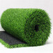 仿真人造草坪地毯宝兴塑料人工草皮外墙绿化围挡仿草坪
