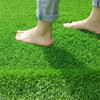 上杭哪些店能買到人造草坪地毯人工草皮仿真假草坪