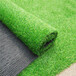 人造仿真假草坪吉州区塑料人工绿草皮外墙装饰围挡草坪防尘网