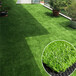 澜沧拉祜族自治什么地方能买到人造草坪地毯绿色人工草皮塑料仿真假草坪