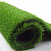 人造仿真假草坪息縣塑料綠色人工草皮鐵皮裝飾圍擋綠化草坪