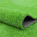 拜城哪里有卖人造草坪地毯绿色人工草皮塑料仿真假草坪