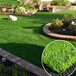 仿真人造草坪地毯楚雄塑料人工草皮彩钢板围挡覆盖绿草皮