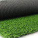 18900针人工仿真假草坪曲江楼顶人造草坪围挡用塑料绿草皮