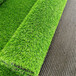 人造仿真假草坪安陆塑料人工绿草皮广告装饰围挡绿草皮
