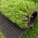 大洼什么地方有卖人造草坪地毯人工绿草皮塑料仿真草坪