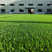 仿真人造草坪地毯平陆塑料人工草皮工地围墙防火围挡草坪